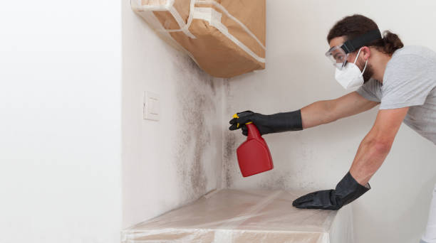Professional Mold Cleanup technician working in Haskell, TX